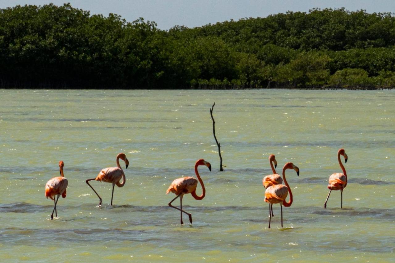 El Aplatanao Hotel Pedernales Luaran gambar
